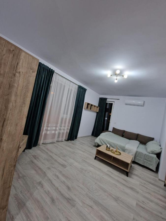 Апартаменты Apartament Modern Cu O Camera Тимишоара Экстерьер фото