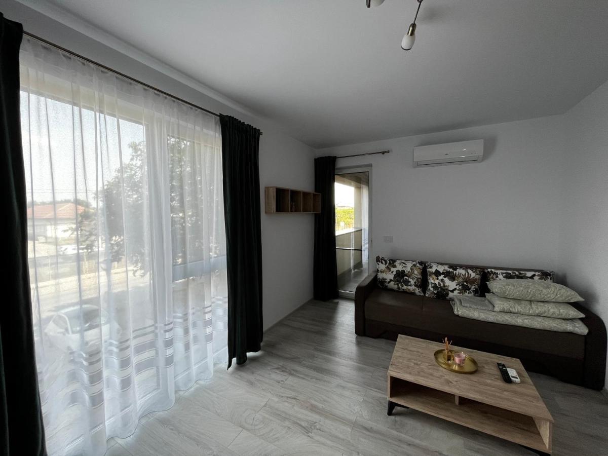 Апартаменты Apartament Modern Cu O Camera Тимишоара Экстерьер фото